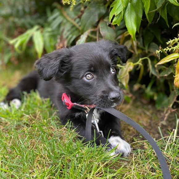 Meet Danielle! - Picture 6 of 7